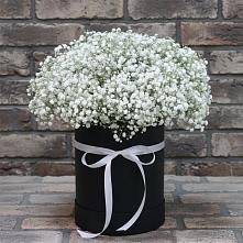 Цветочная композиция из Гипсофила в шляпной коробке в Клишино