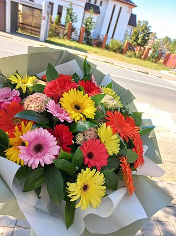 Букет цветов из: Герберы в Клишино