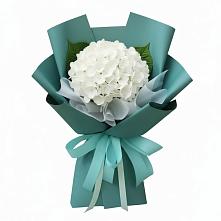 Букет цветов из:  Гортензия в Клишино